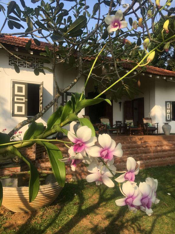 Templeberg Acomodação com café da manhã Walahanduwa Exterior foto