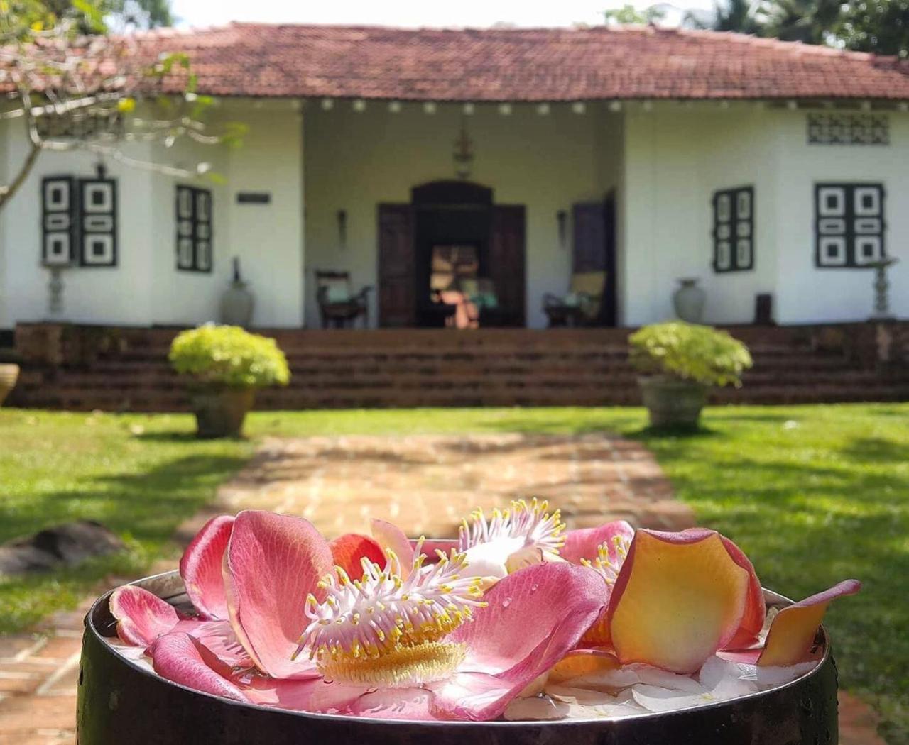 Templeberg Acomodação com café da manhã Walahanduwa Exterior foto